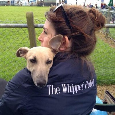 The whippet hotel sales