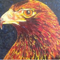 commonsense eagle (@csgwe70) 's Twitter Profile