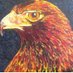 commonsense eagle (@csgwe70) Twitter profile photo commonsense eagle (@csgwe70) Twitter profile photo