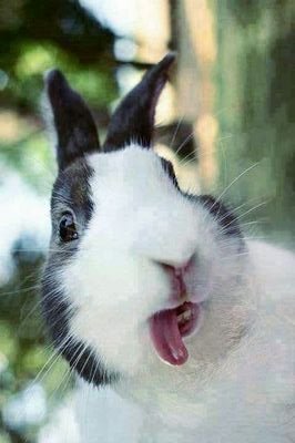 ‏‏k