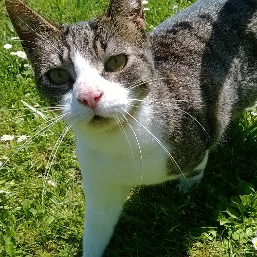 ConsueloAlonso2's profile picture. 