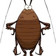 Cockroachhere's profile picture. hi im a cockroach that uses twitter:)
