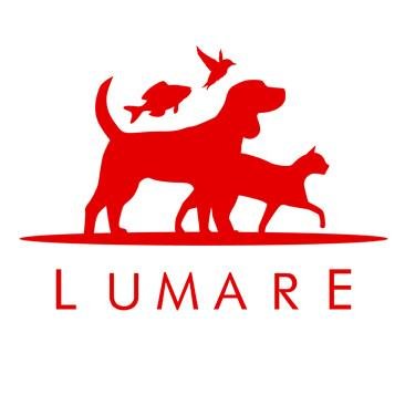Importadora e distribuidora de produtos  Pet