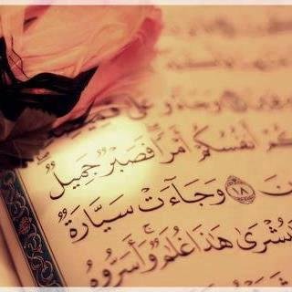 subahn_allah's profile picture. ‏‏‏‏‏‏‏‏‏‏‏‏*إذا لم تخطط لحياتك ،فستصبح ضمن مخططات الآخرين*