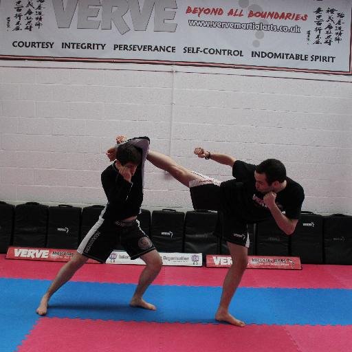 Learn Mixed Martial Arts (MMA) at Verve Martial Arts Centre, Bromsgrove every Thursday night from 7-8pm from a World Champion instructor.