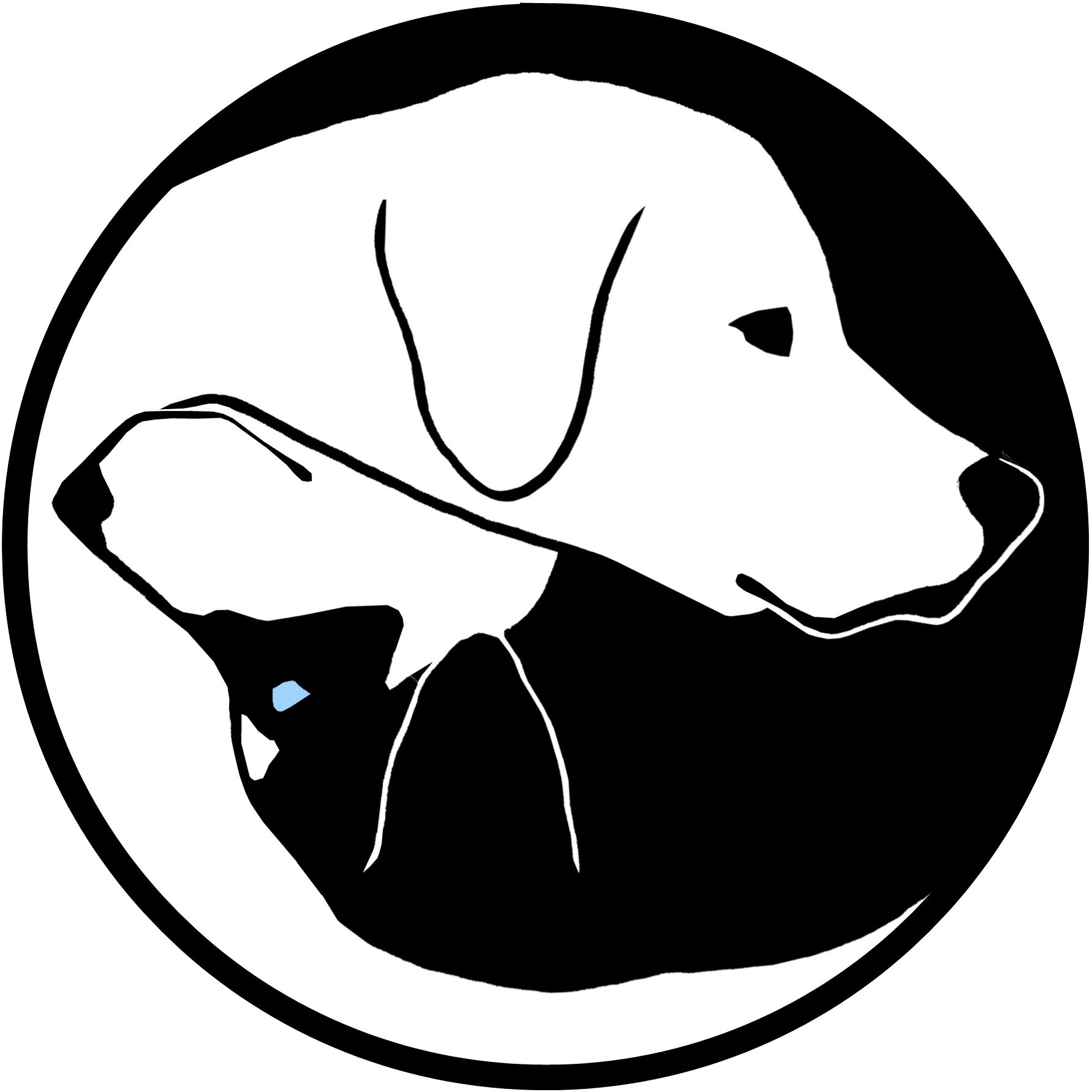 SorianosBros's profile picture. Sound Engineer, Kayaker, Climber, Canyon & Rafting Guide.