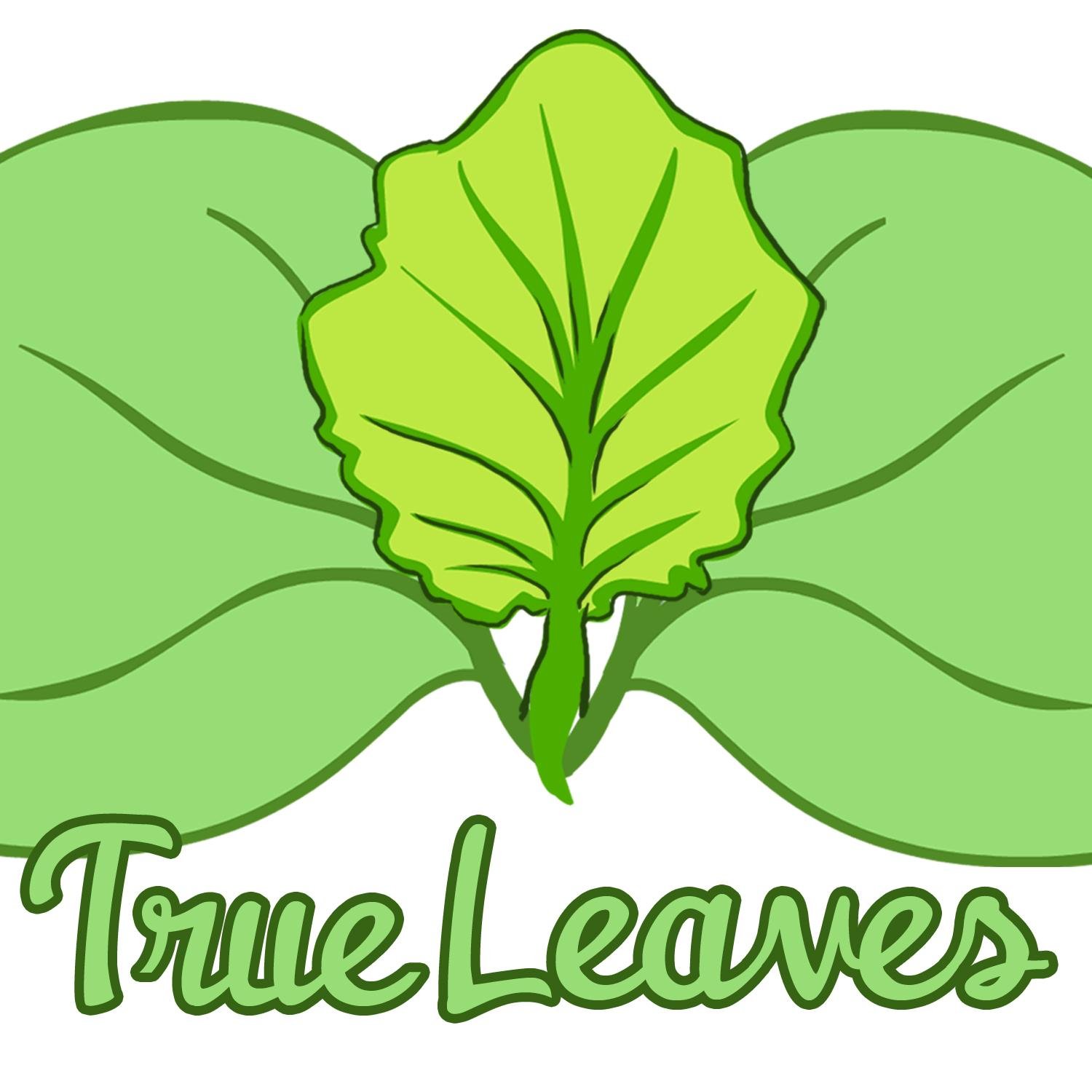 Expressive Writing Practitioner & Pilates teacher in #York, UK.  Also tweeting as @pilateslou.