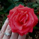 Kathleen Storm - @kathstorm139 - Twitter