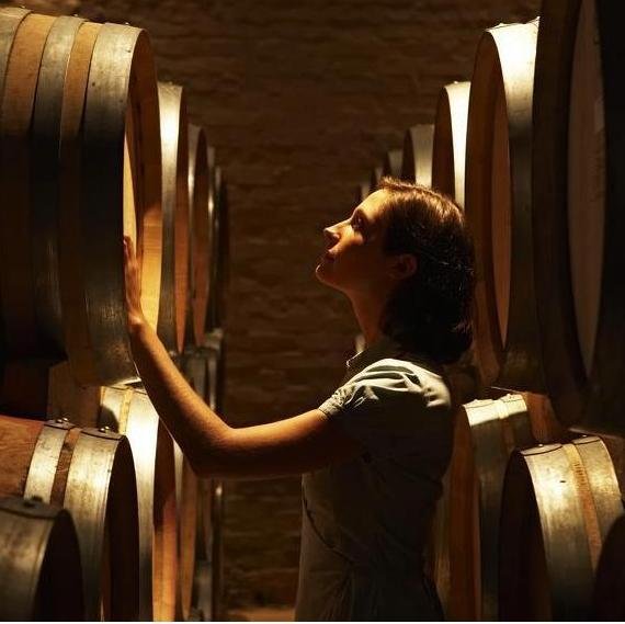 wineinfluencers's profile picture. Wine Influencers - Buy Sell Lease Website Domain Names