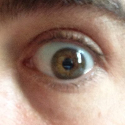 papawow's profile picture. Food. Surf. Repeat.