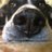 runrbarb's profile image