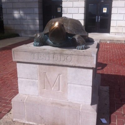 todd_guz's profile picture. 