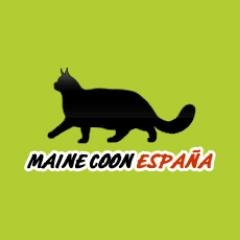 Comunidad web de la raza de gatos Maine Coon