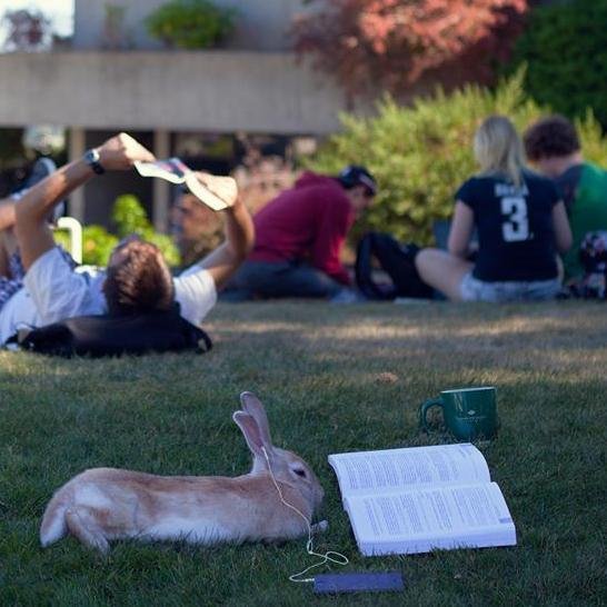 VIUHist's profile picture. From the history faculty at Vancouver Island University | Views our own | Maintained by @KTRollwagen | #ilearnhere | #twitterstorians