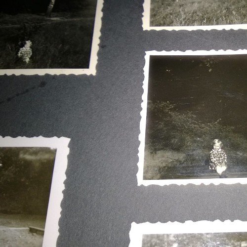 SundevitSchmidt's profile picture. Inzwischen gross,blond  geblieben + lass mir nicht das Leben schwer machen.