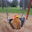 Lindsey Thomson - @highlandsthing - Twitter