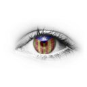 DaVid Toll ||*|| - @drtoll - Twitter