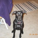 Pat Hess - @hesindy74 - Twitter