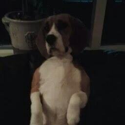 jgvanledden's profile picture. 