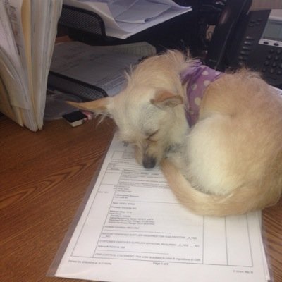 robAcullen's profile picture. 