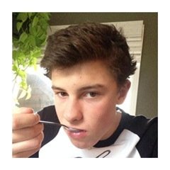 it's just the beginning for shawn mendes