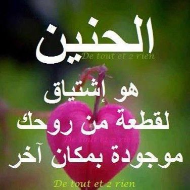 saad99236's profile picture. 