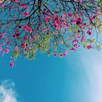 5d30297695fe483's profile picture. 