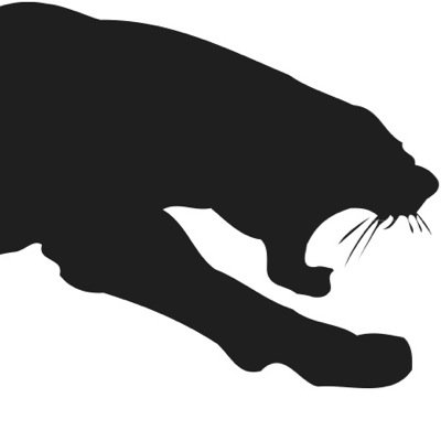 pvmpantherpride's profile picture. 