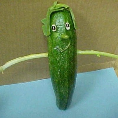 hello my fellow cucumbers! i am your leader. there is one mission in life for a cucucmber and that is to hate pickles