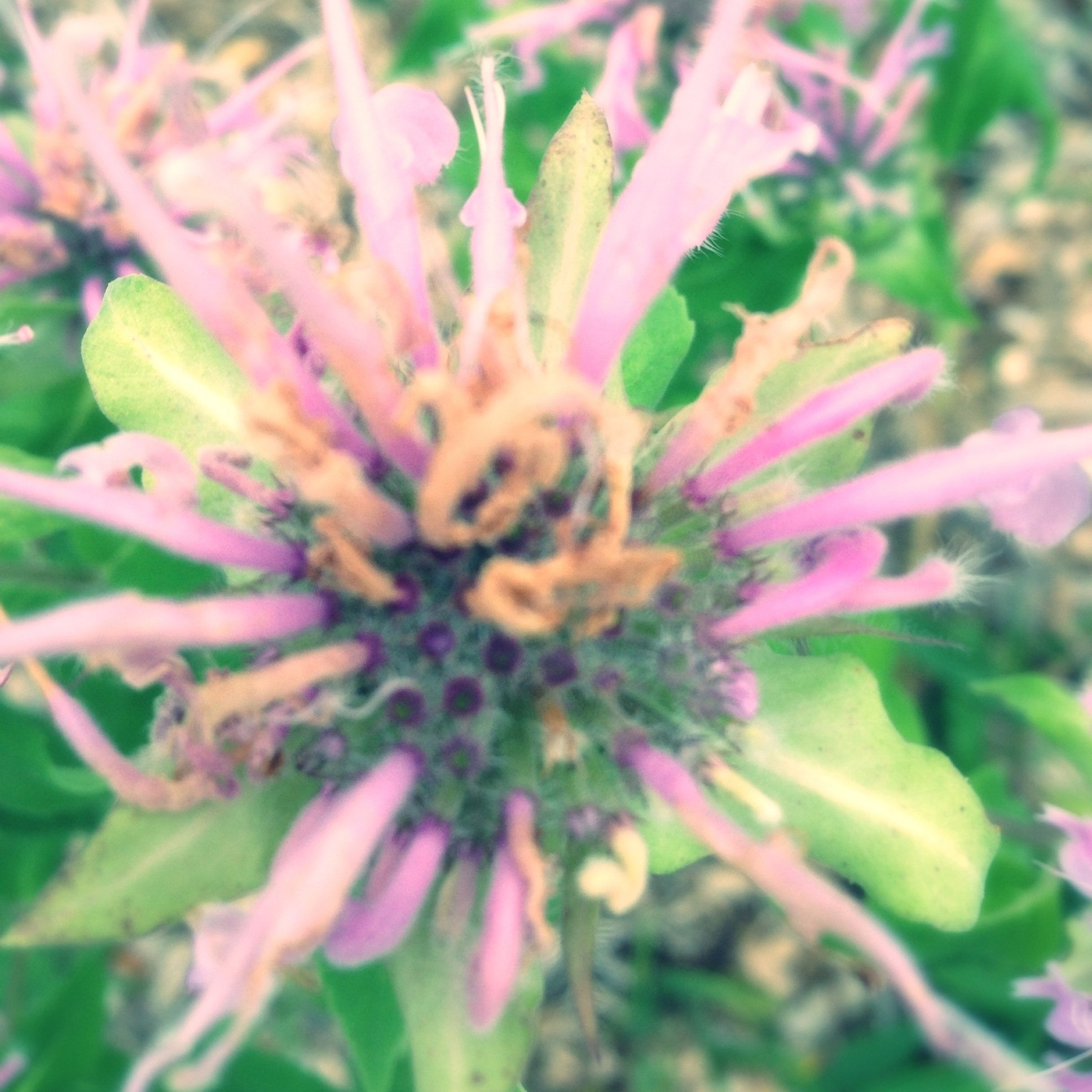 Camping_knowhow's profile picture. 