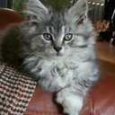 kari potter - @potterplayhouse - Twitter