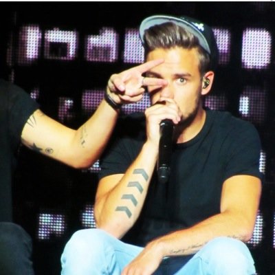 harry styles and liam payne are my sunshines and they make me vvv happy