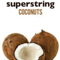 Superstringmcr's profile picture. Loose-limbed space pop. Apparently. Listen on Soundcloud.