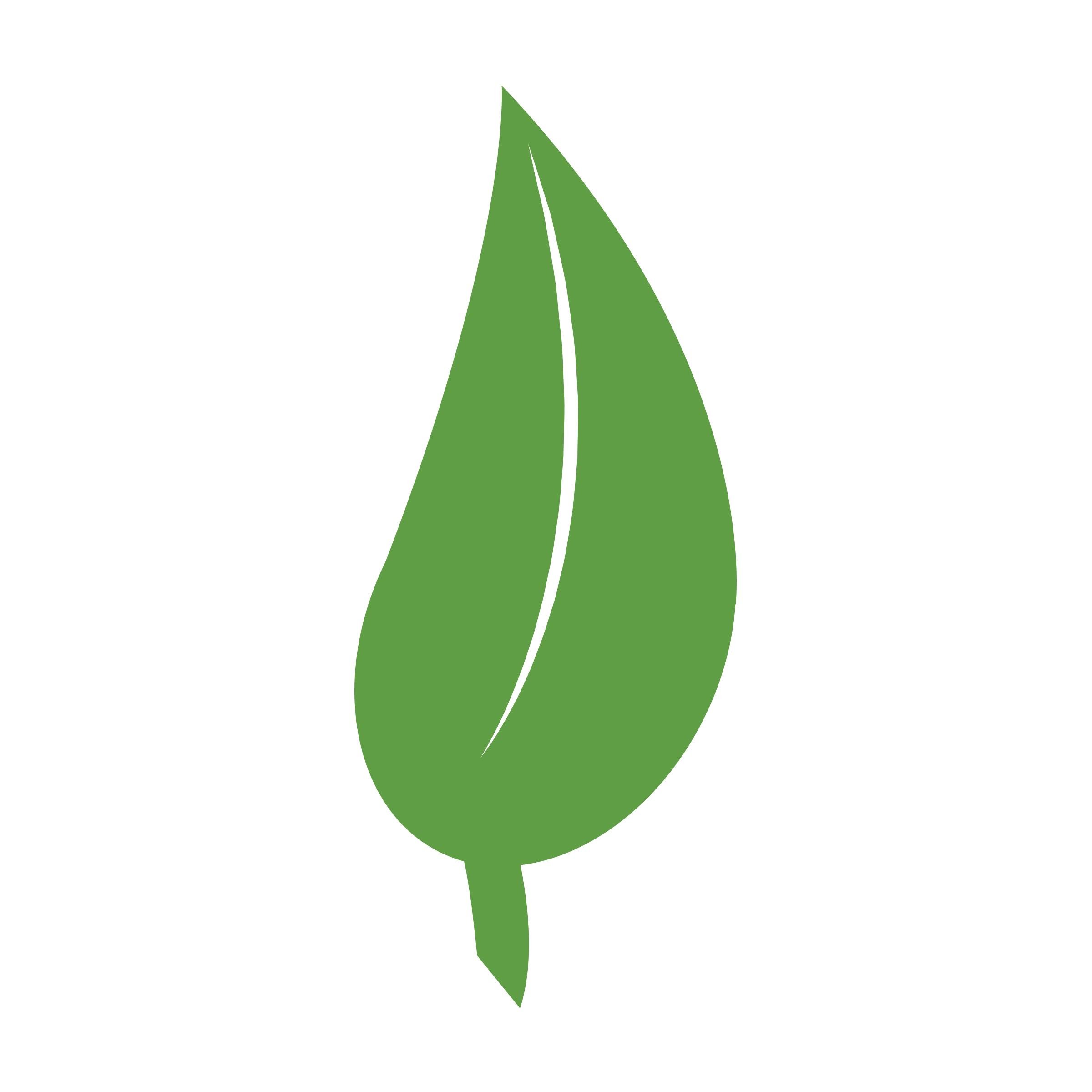 Flourish Charlotte’s goal is to educate community members regarding the public, private, and social domains that contribute to the flourishing of Charlotte.