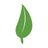 flourishclt's profile image