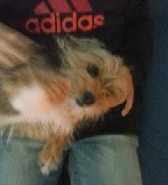 miguelsupermax's profile picture. 