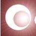 Founding Director, Earthsight. Investigate environmental & other corporate crime and injustice