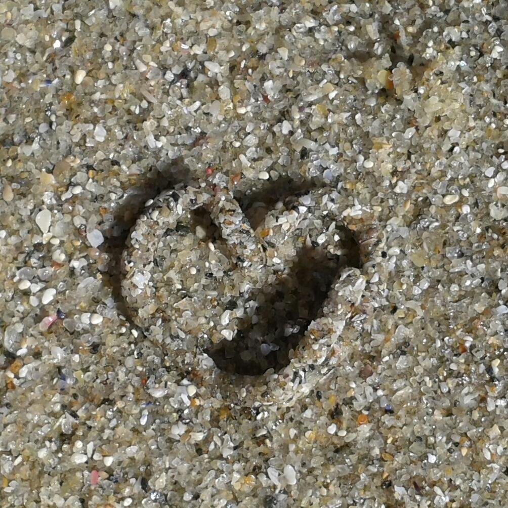 ISABELLEENDREO's profile picture. 