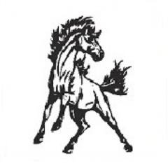 cairodurham's profile picture. 