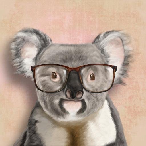 20 | Student (Wirtschaftsinformatik) | Bayer | Programmierer | Serienjunkie | Gamer | Dark Souls süchtig