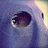 Baeza_Cofrade's profile image