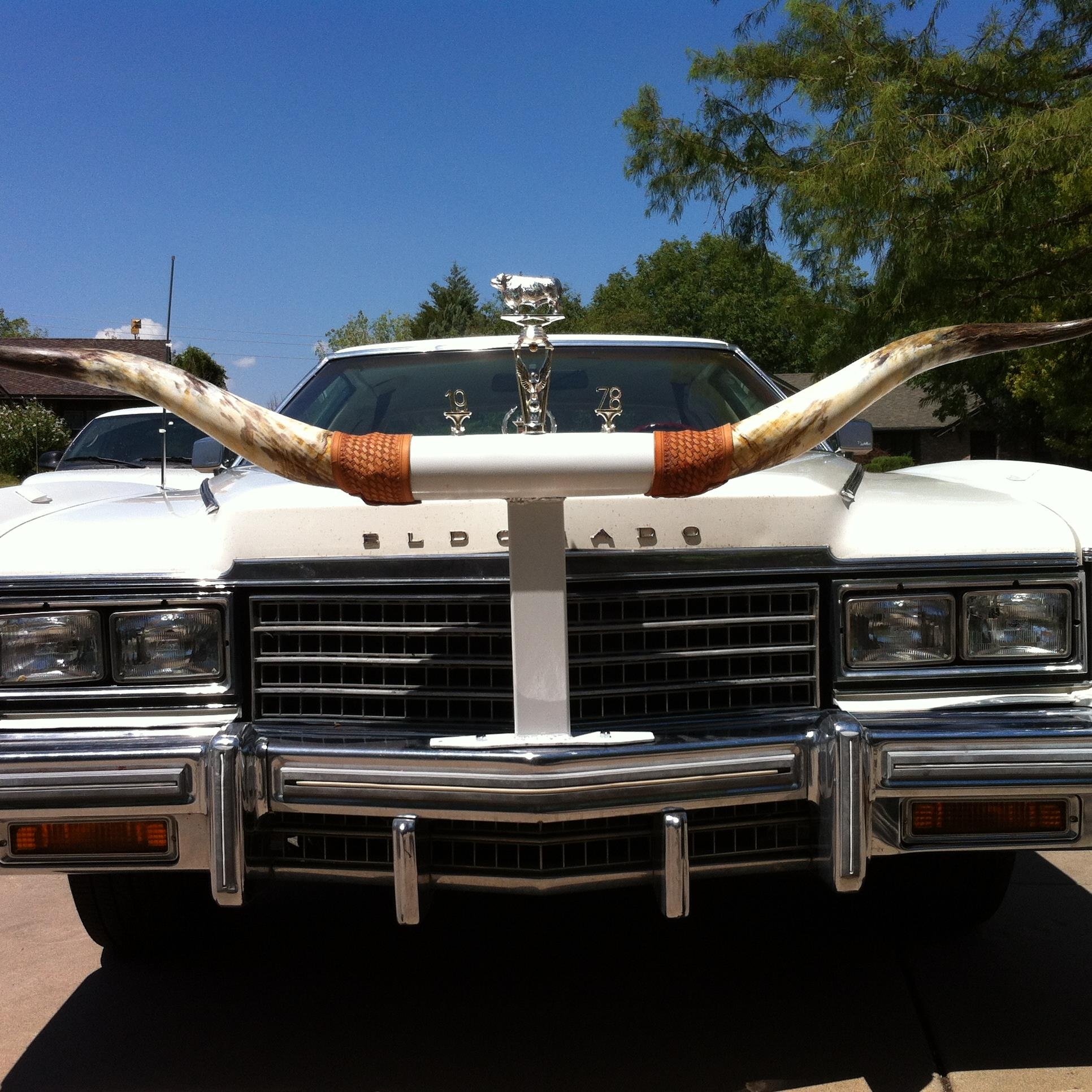 MoonOnebidtwo's profile picture. Business Developer, Connector of People, Proud Dad of Ben