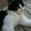 ruben luque - @rubenluque24 - Twitter