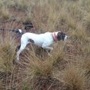 beverly mitchell - @beverly10201 - Twitter