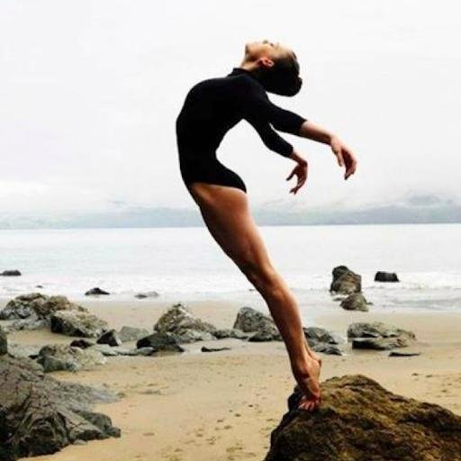 adultbunhead's profile picture. Journey of a (young) adult ballet student