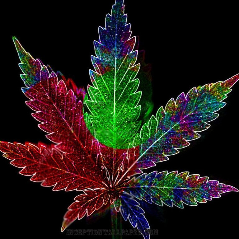 stoner chick // stay blazinnnn // when life's a cunt, smoke a blunt