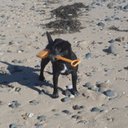 Elizabeth - @AnnGladstone - Twitter