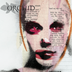 Orchidsweden's profile picture. Two voices, two songwriters with different musical backgrounds, melancholic acoustic songs combined with some electronic elements.
