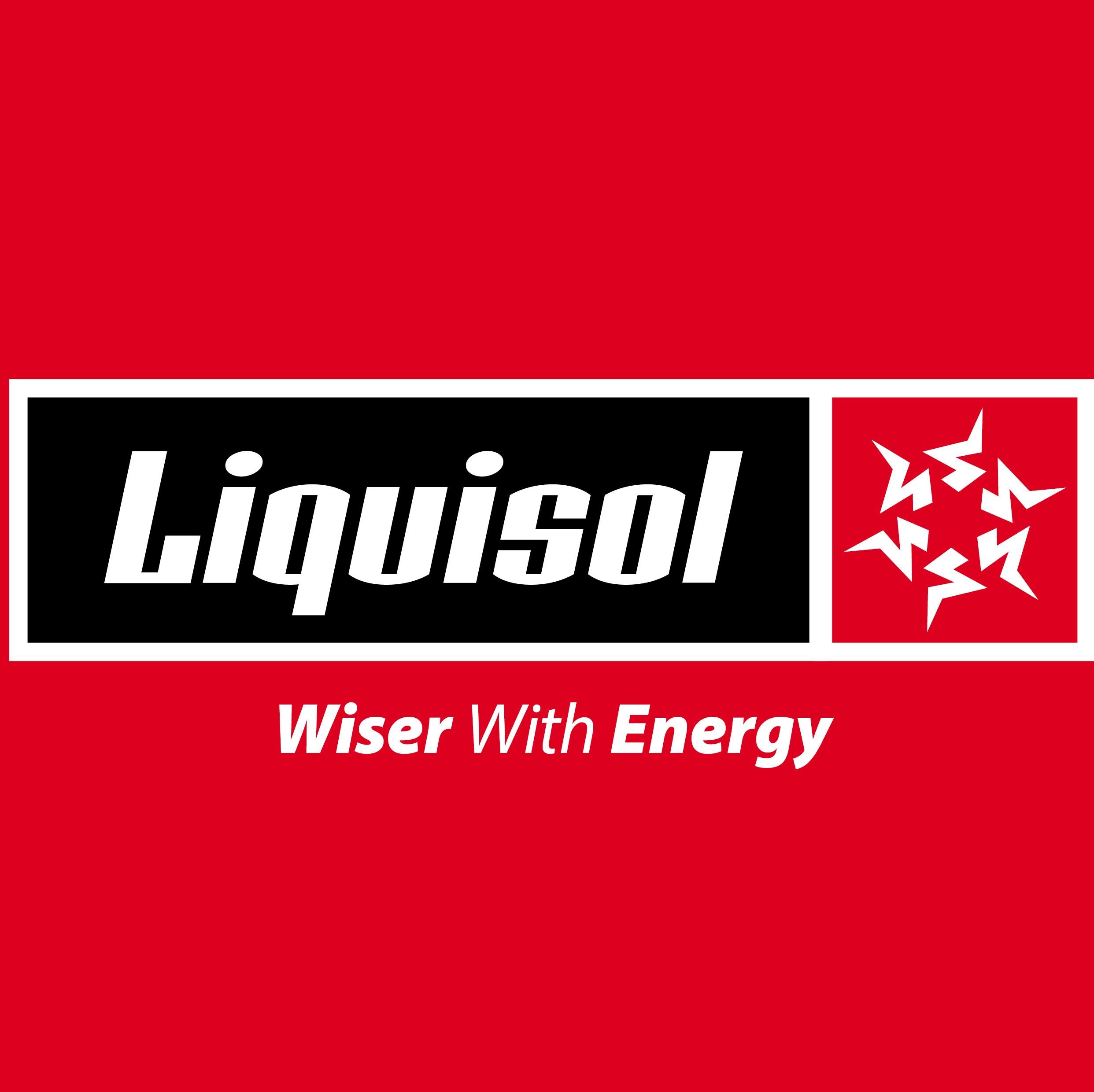 wiser with energy