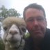 Paul Dearson (@alwaysapauled) Twitter profile photo Paul Dearson (@alwaysapauled) Twitter profile photo